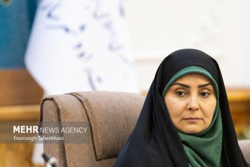 به تعرفه های سنگین واردات خودرو نه می گوییم