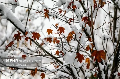 برف و باران در کمین تهران هشدار کاهش ۵ درجه ای دما و احتمال یخبندان