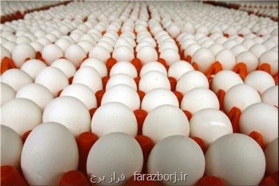 22 تن تخم مرغ قاچاق در هرمزگان كشف شد